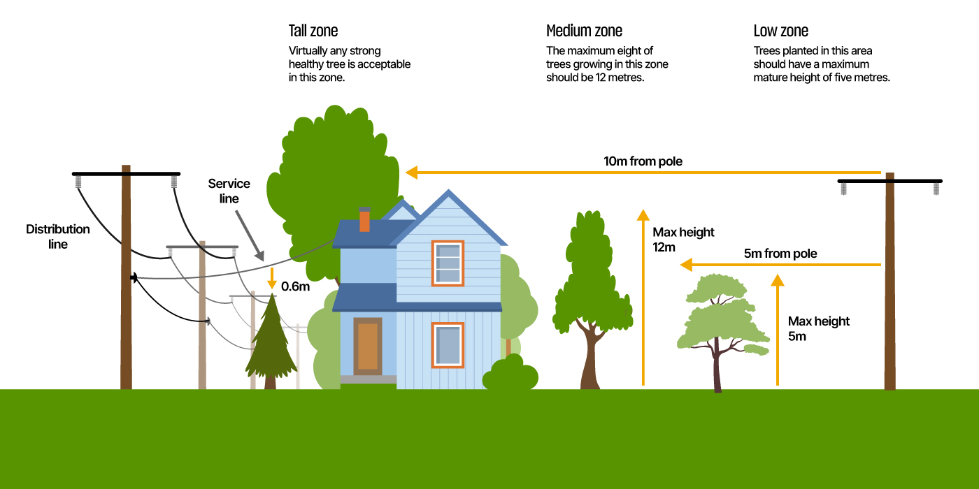 Vegetation Management Treezones