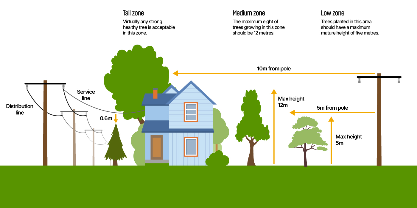 Vegetation Management Treezones
